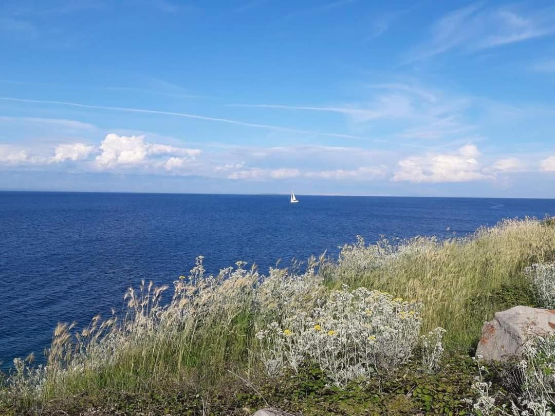 Dairos Apartment Mali Losinj Bagian luar foto